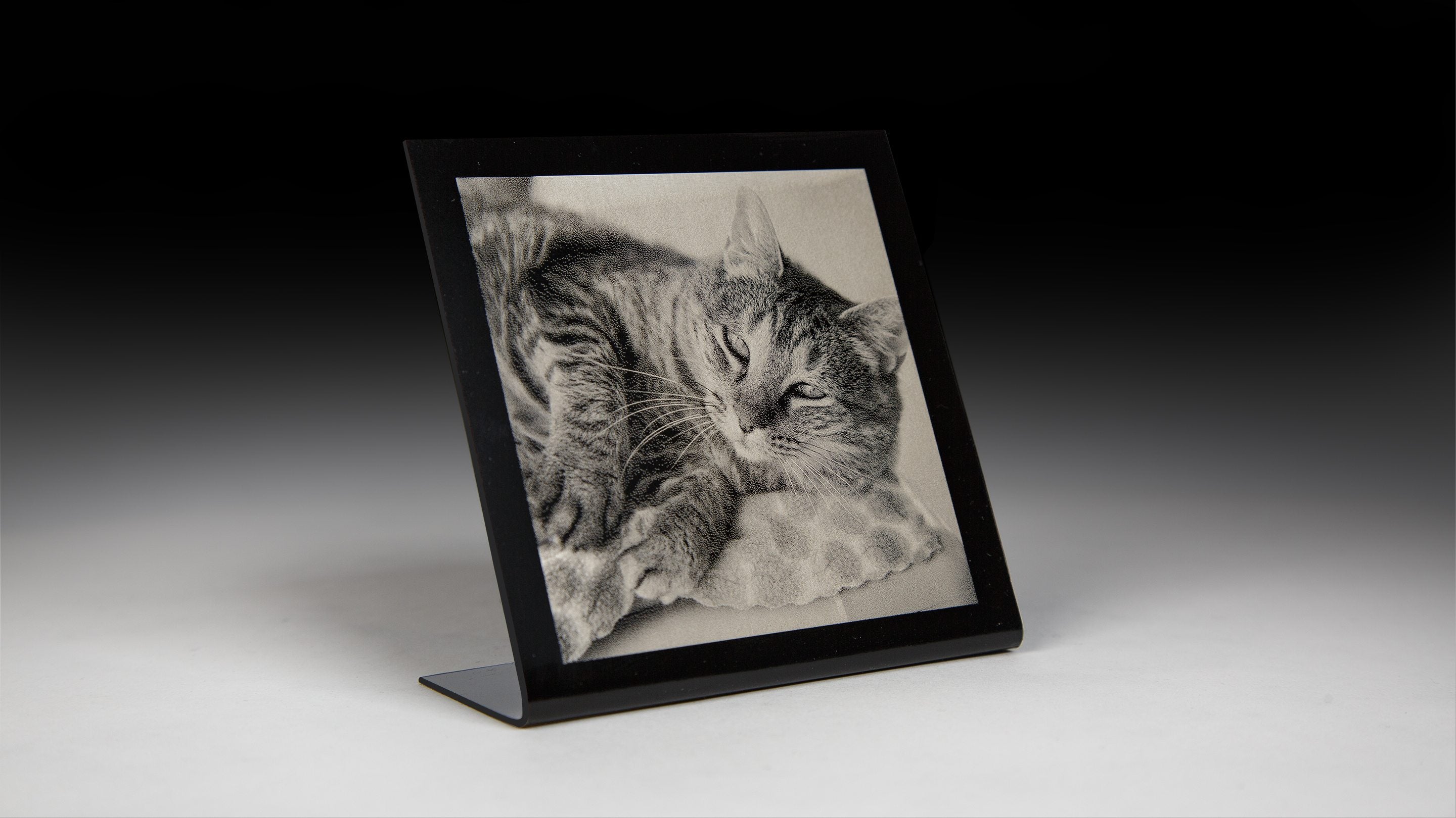 Metal Tabletop Portrait