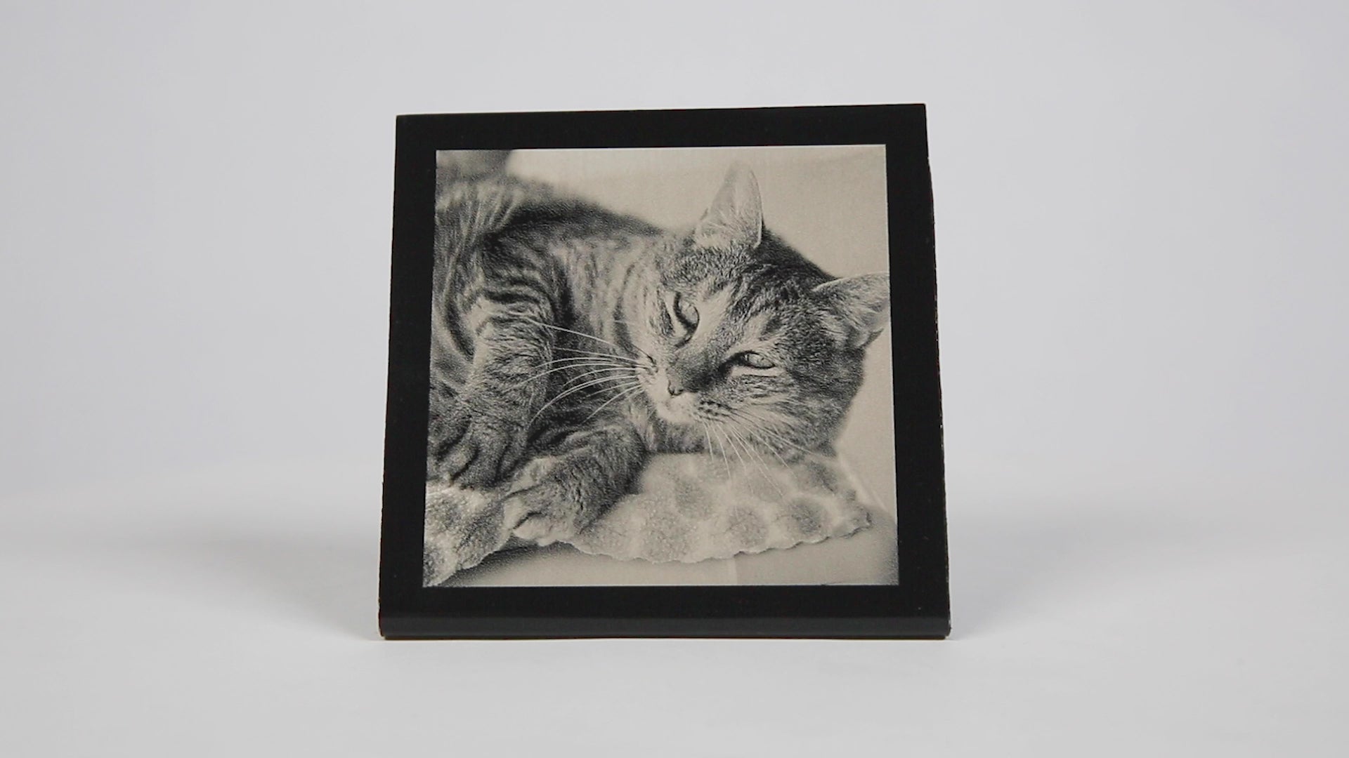 Metal Tabletop Portrait Bundle
